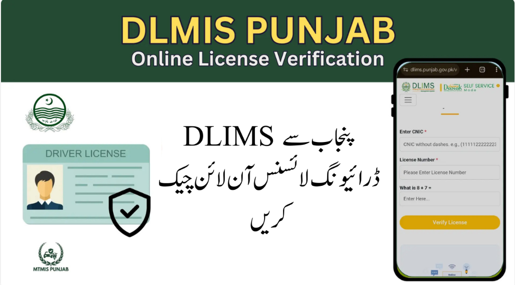 DLMIS 2.0 Complete Guide 2025 1 image